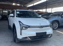 Neta U Pro 400 in Zarqa