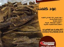 عود كلمنتان دقه طبيعي عود كلمنتان دقه طبيعي