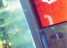 حوض اسماك للزينه كبير حوض اسماك للزينه كبير