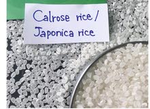 rice America