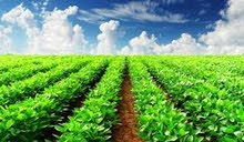 20 فدان@@شريان الشمال 20 فدان@@شريان الشمال