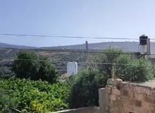 50m2 3 Bedrooms Townhouse for Sale in Nablus Taluza