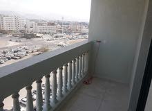 سكن مشترك سكن مشترك