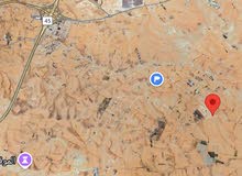 Residential Land for Sale in Amman Al-Baida