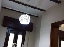 زواق تونسي زواق تونسي