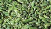 بزر باميا وفقوس بزر باميا وفقوس