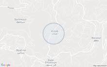 مطلوب للإيجار منزل مستقل مع حديقة او فيلا لحراستها ونطارتها مطلوب للإيجار منزل مستقل مع حديقة او فيلا لحراستها ونطارتها