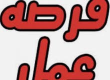 شركه تجاريه في المنصور العمل 4 ساعات بليوم شركه تجاريه في المنصور العمل 4 ساعات بليوم