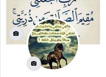 البحث عن عمل البحث عن عمل