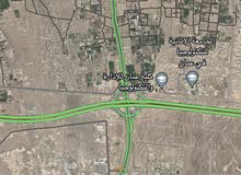 ارض زراعيه فدان واحد مقابل جسر حلبان 4500م2 ارض زراعيه فدان واحد مقابل جسر حلبان 4500م2