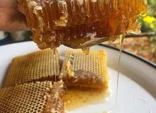 بيع منتجات الزيوت الطبيعية أركان املو العسل والزعفران وزيت الزيتون Biotarga بيع منتجات الزيوت الطبيعية أركان املو العسل والزعفران وزيت الزيتون Biotarga