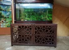 حوض سمك حوض سمك