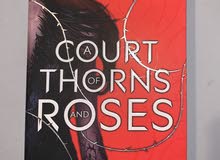 A Court Of Thorns And Roses (ACOTAR)
