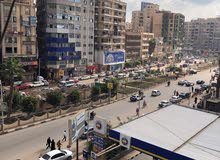 شقه للبيع بطنطا شقه للبيع بطنطا