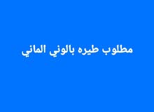 مطلوب طيره بالوني الماني