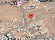 Residential Land for Sale in Zarqa Graiba