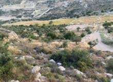 Residential Land for Sale in Hebron Tapuah