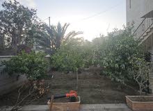 320m2 More than 6 bedrooms Townhouse for Sale in Jericho Downtown