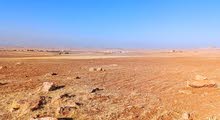 ارض استثمارية مميزة/ مزرعة تميرة للبيع بسعر مناسب جدا من المالك مباشرة/تم بيع قطعتين و باقي قطعتين