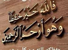 موجود زغاليل وديك هزاز اسود وفرخه بالوني
