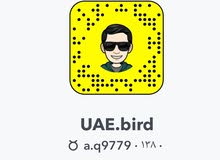 حساب مختص في معلومات عن الطيور و لبيع الطيور و عرض الطيور مجانا حساب مختص في معلومات عن الطيور و لبيع الطيور و عرض الطيور مجانا