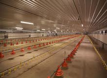 Poultry farms and Green House Poultry farms and Green House