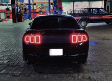 mustang v8 5.0 WITH SHILBY BODY KIT