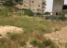Residential Land for Sale in Hebron Other
