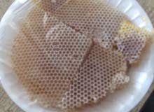 شمع طبيعي شمع طبيعي