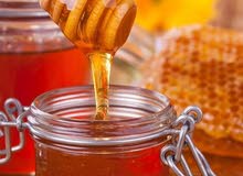 عسل ابيض ملكى بري من جبال قرغيزستان عسل ابيض ملكى بري من جبال قرغيزستان