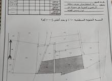 مزرعة في عراق الأمير مساحة 11 دونم
