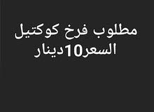 مطلوب فرخ كوكتيل 10دينار مطلوب فرخ كوكتيل 10دينار