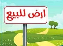 قطعة للببع 2500 متر مسورة متعلية بير مية جديد قريبة ع القطران قطعة للببع 2500 متر مسورة متعلية بير مية جديد قريبة ع القطران