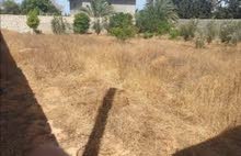قطعة أرض سكنية ممتازة كبيرة 740م ذات واجهة رائعه في طريق الباعيش قطعة أرض سكنية ممتازة كبيرة 740م ذات واجهة رائعه في طريق الباعيش