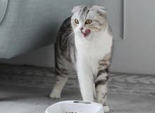 PETKIT food bowl PETKIT food bowl