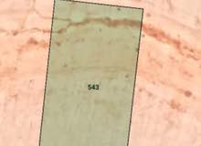 ارض للبيع بالاردن عمان (الموقر المطبه) حوض الحمد والقضاه ارض للبيع بالاردن عمان (الموقر المطبه) حوض الحمد والقضاه