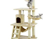 cat tree cat tree
