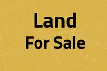 Farm Land for Sale in Amman Al-Nuqairah
