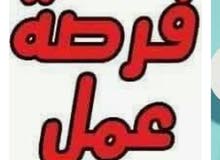 مطلوب كول سنتر مطلوب كول سنتر