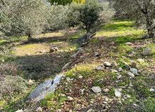 Mixed Use Land for Sale in Tulkarm Iktaba