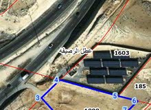 دونم أو أكثر أرض للبيع أو للإيجار (أول سنة مجانا) على الشارع شارع 100 مباشرة قريبة من الجمرك الجديد