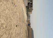 Residential Land for Sale in Jericho Ad Duyuk
