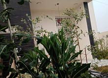 بيت للبيع مدينه الامل طابق ونص جديد
الامل 2الزوم السادس
مده الاستلام 5اشهر ال بيت للبيع مدينه الامل طابق ونص جديد
الامل 2الزوم السادس
مده الاستلام 5اشهر ال
