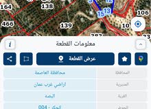 مزرعة زيتون وتين للبيع