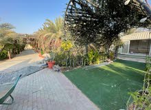 استراحة ممتازة للبيع في عجمان مصفوط خلف نادي مصفوط الرياضي حوض 8 تملك مواطن وخليجي فقط استراحة ممتازة للبيع في عجمان مصفوط خلف نادي مصفوط الرياضي حوض 8 تملك مواطن وخليجي فقط