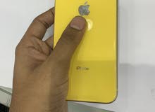 apple xr apple xr