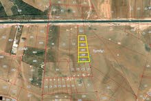 Farm Land for Sale in Mafraq Other