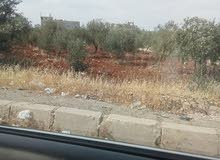 ارض سكنيه فيه حواره مفروزه للبييع