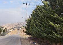 Farm Land for Sale in Jerash Tal Al-Rumman