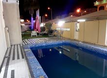 شقه مفروشه الإيجار شقه مفروشه الإيجار